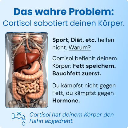 Jello Cortisol Cocktail