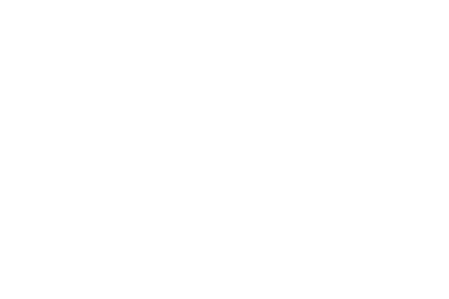 Illustration: eine Frau in der Mitte, umgeben von Salatschüssel, Laufschuh, Hantel, Wecker und Kaffeetasse. Ein Pfeil führt im Kreis durch alle Versuche und zeigt am Ende zurück auf sie selbst.