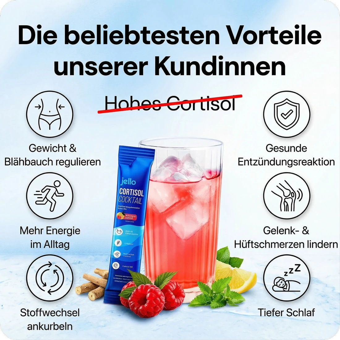 Übersicht der von Kundinnen am häufigsten genannten Vorteile: Gewicht und Blähbauch regulieren, mehr Energie im Alltag, Stoffwechsel ankurbeln, gesunde Entzündungsreaktion, Gelenk- und Hüftschmerzen lindern, tiefer Schlaf.
